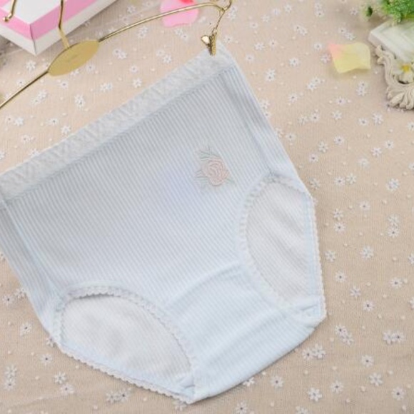 Plus size Lolita Kawaii Cotton high rise Panties. In 5 pale Robin Egg colours - Picture 6 of 10